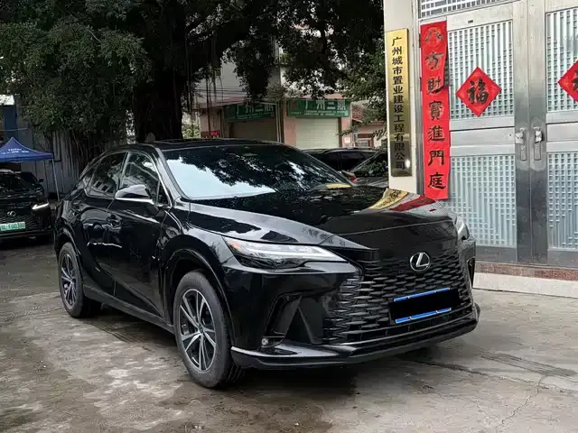 Lexus RX 2025, 10 000 км