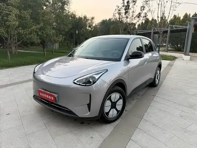 Geely Galaxy Geome 2025, 16 000 км