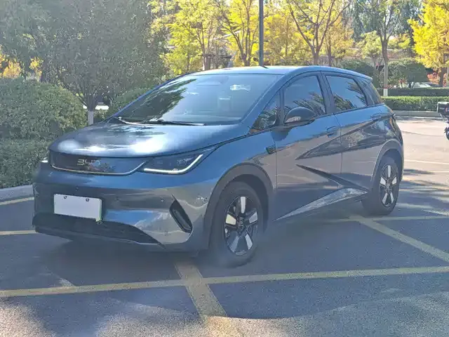 BYD Dolphin 2025, 15 000 км