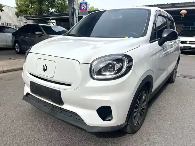 Leapmotor T03 2024, 40 000 км