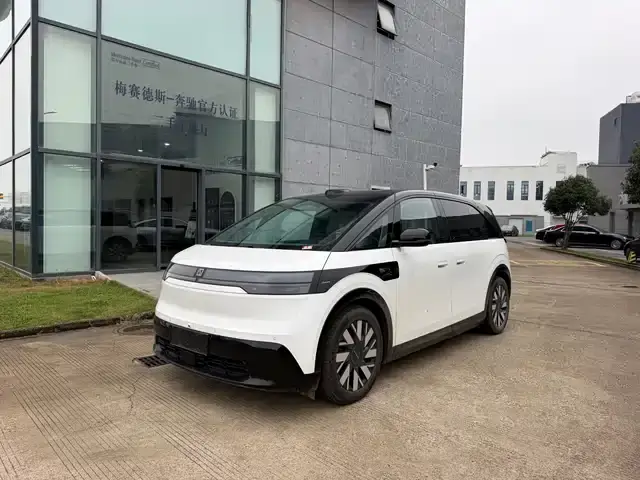 Zeekr Mix 2025, 17 800 км
