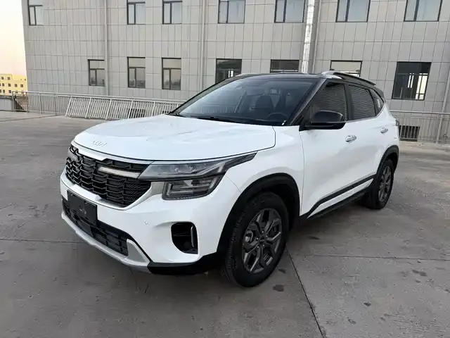 Kia Seltos 2023, 31 000 км