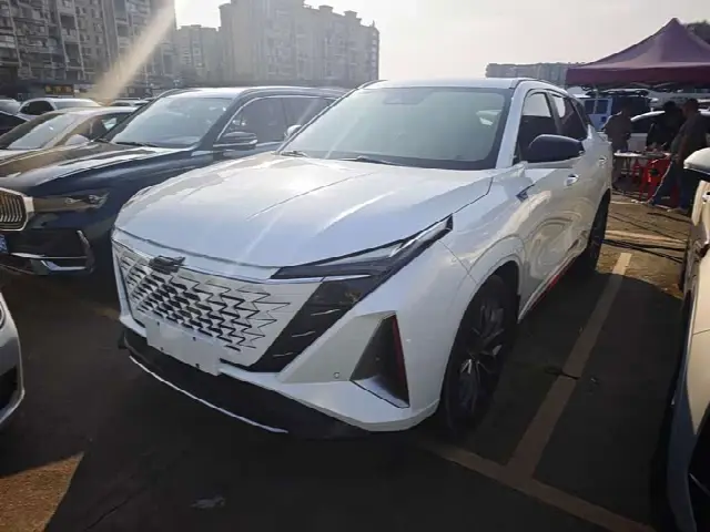 Changan Oshan Z6 2023, 35 000 км