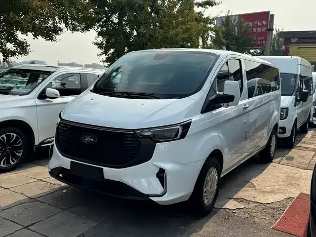 Ford Transit 2023, 24 000 км