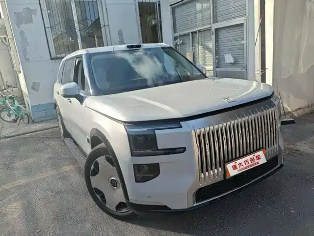Zeekr 9X 2025, 29 000 км