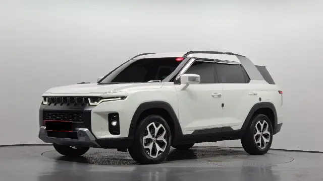 KGM Torres 2022, 49 485 км