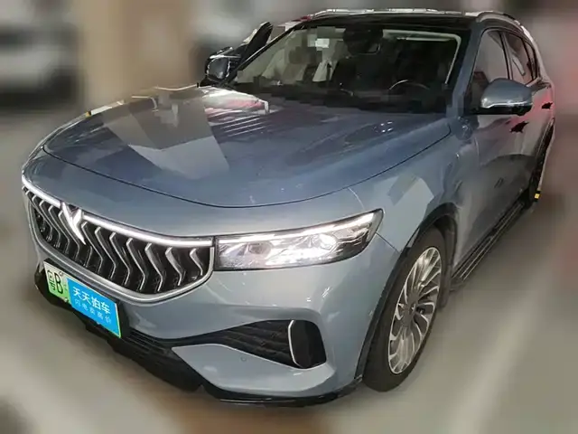 Voyah Free 2021, 57 820 км