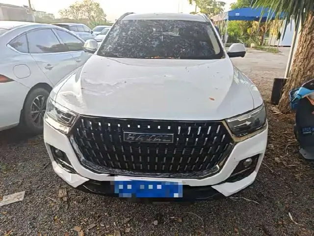 Haval H6 2023, 60 000 км