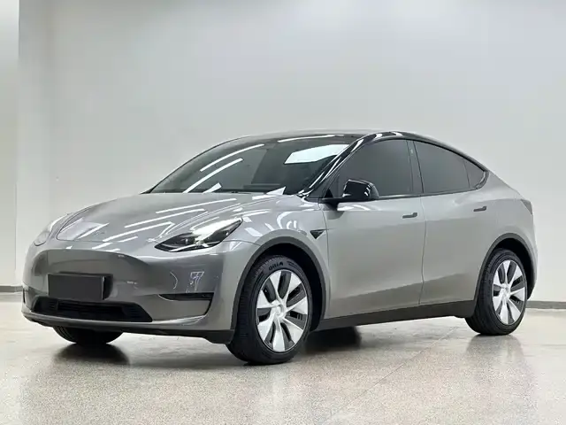 Tesla Model Y 2023, 80 000 км