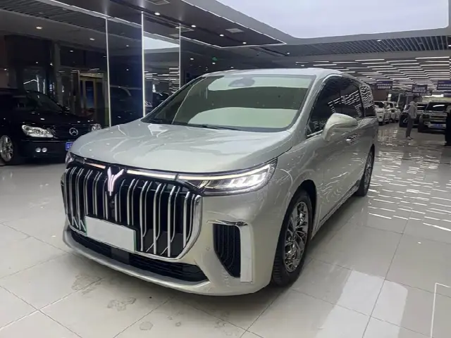 Voyah Dream 2022, 25 000 км