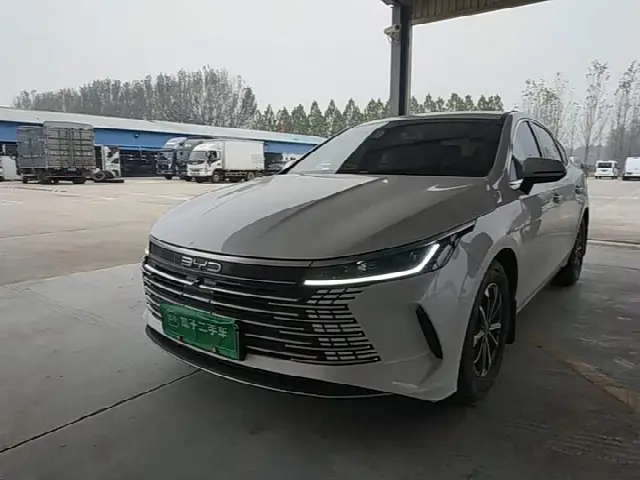 BYD Destroyer 05 2024, 41 300 км