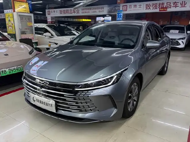 BYD Destroyer 05 2024, 26 000 км