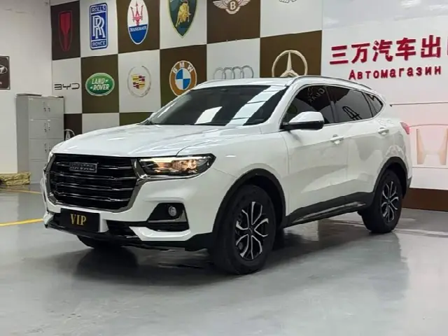 Haval H6 2021, 18 000 км