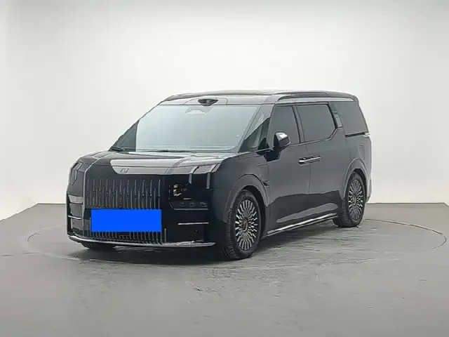 Zeekr 009 2024, 46 300 км