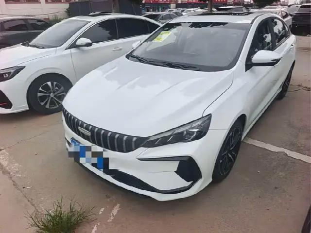 Geely Binrui 2024, 100 км