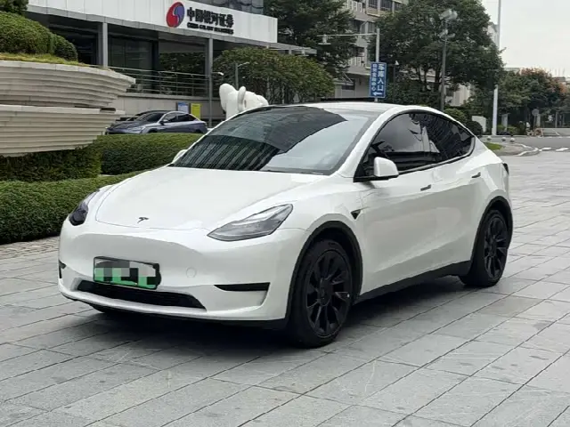Tesla Model Y 2024, 29 000 км
