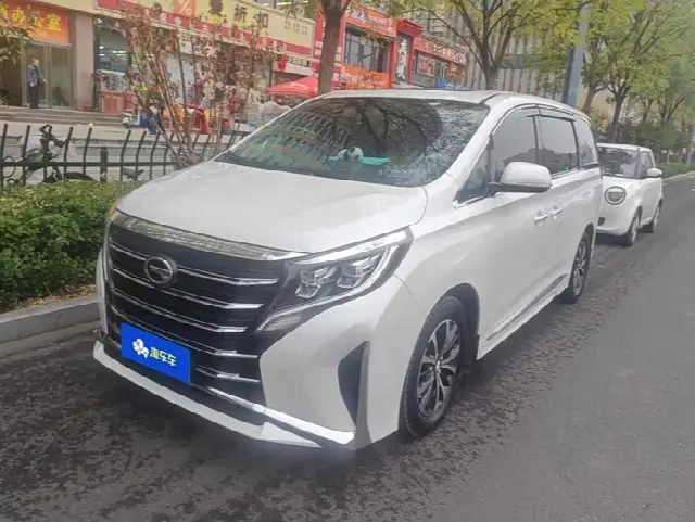 GAC Trumpchi M8 2023, 61 400 км