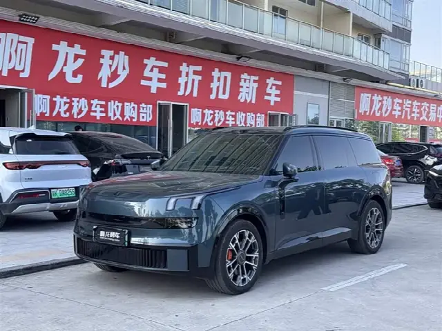 Lynk & Co 900 2025, 28 500 км
