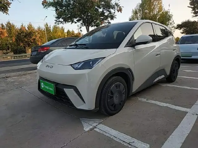 BYD Seagull 2025, 36 600 км