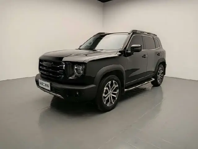Haval Dargo 2022, 49 300 км