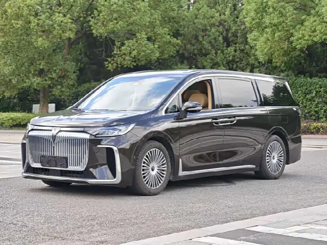 Voyah Dream 2025, 17 100 км