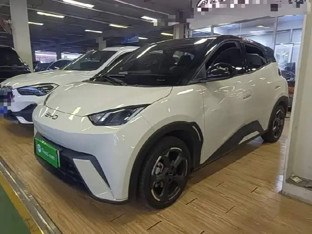 BYD Seagull 2024, 48 100 км