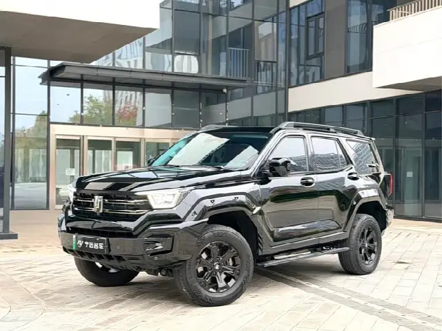 Tank 400 Hybrid 2024, 51 000 км