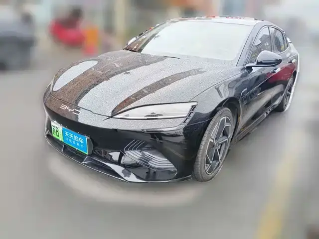 BYD Seal 2023, 65 590 км