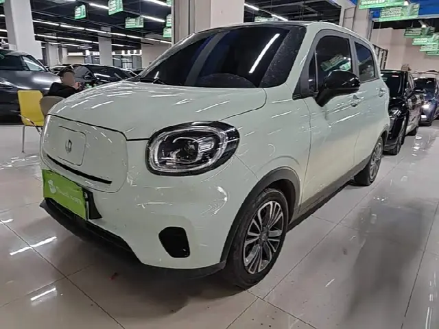 Leapmotor T03 2024, 54 100 км