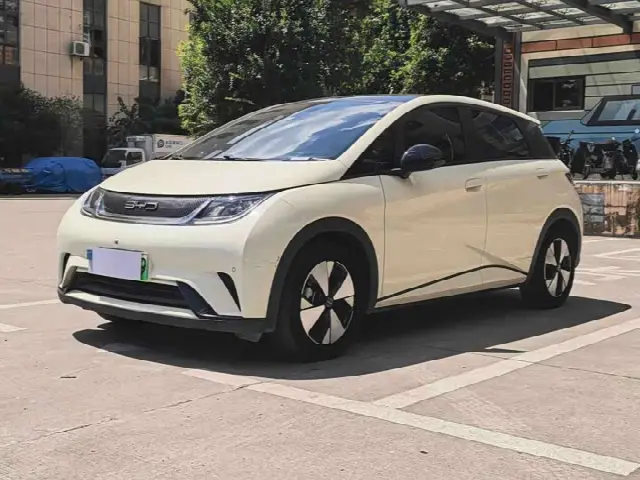 BYD Dolphin 2023, 37 000 км