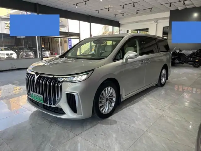 Voyah Dream 2024, 100 000 км