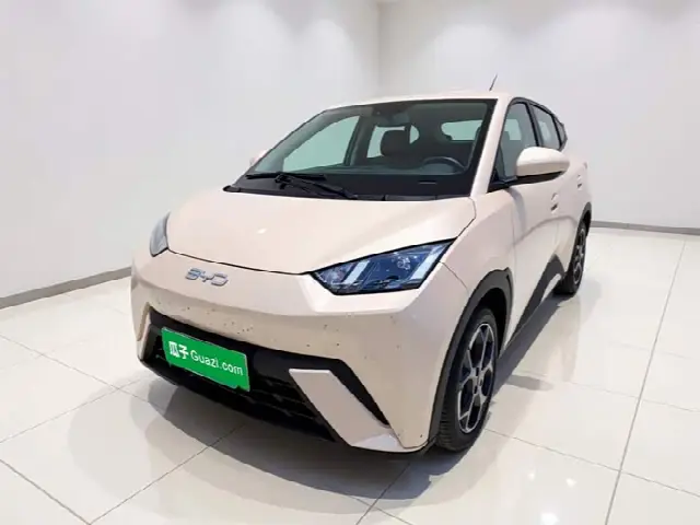 BYD Seagull 2025, 5 900 км