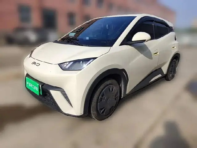 BYD Seagull 2025, 24 400 км