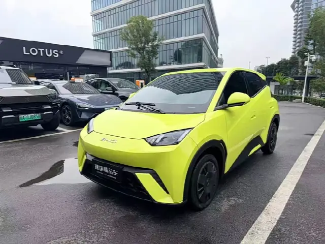 BYD Seagull 2023, 29 900 км