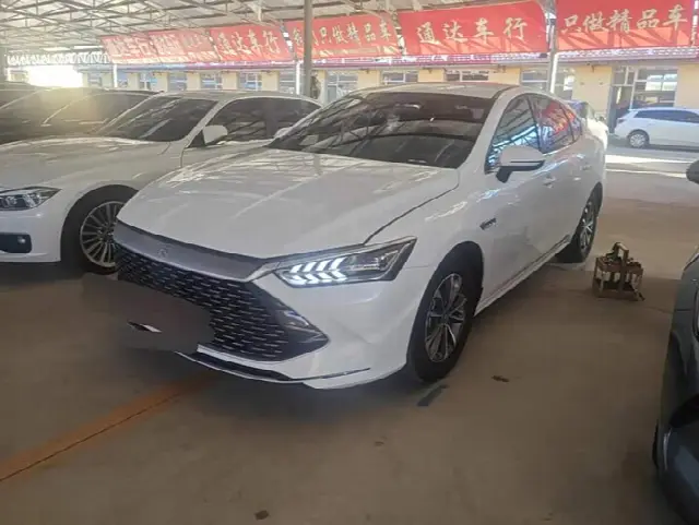 BYD Qin Plus 2024, 53 100 км
