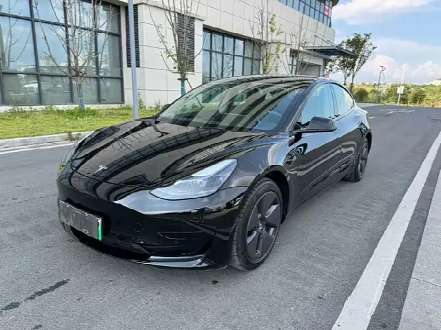 Tesla Model 3 2022, 38 000 км