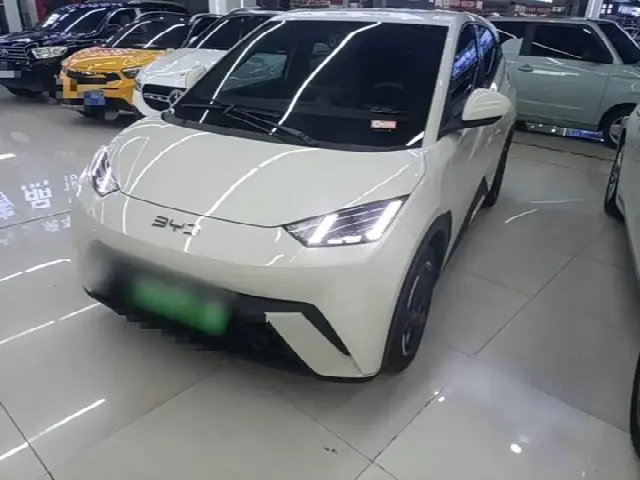 BYD Seagull 2023, 77 400 км