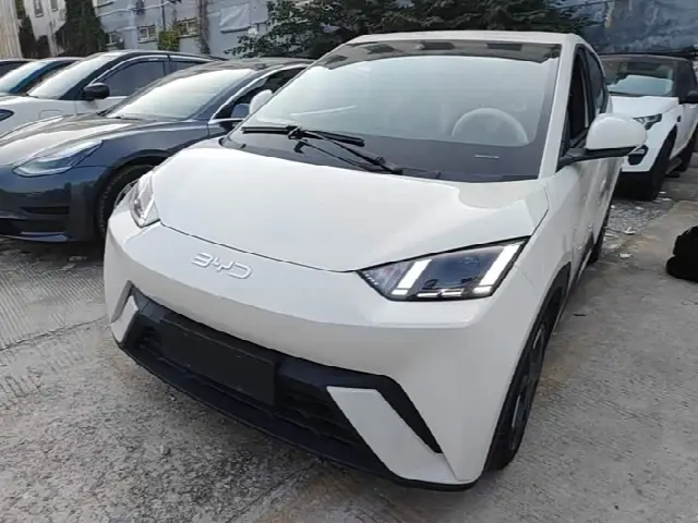 BYD Seagull 2025, 35 100 км