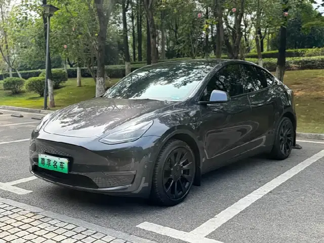 Tesla Model Y 2024, 38 000 км