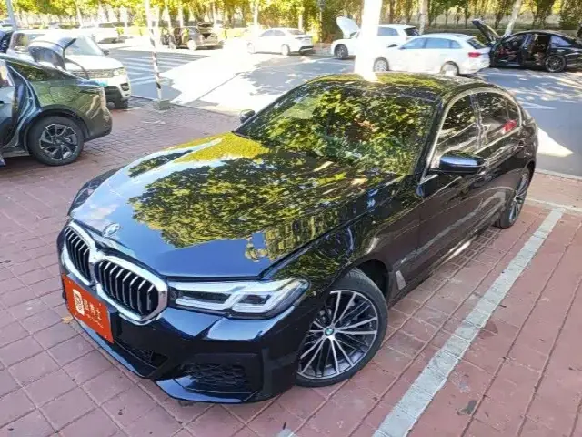 BMW 5 Series 2024, 40 000 км