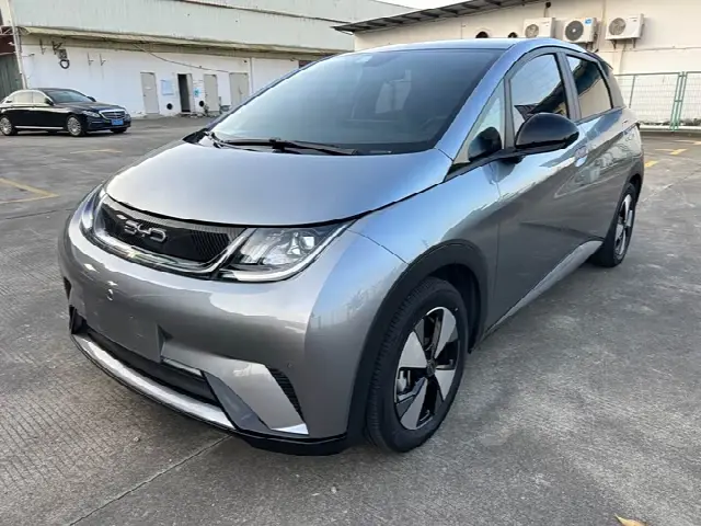 BYD Dolphin 2023, 30 000 км