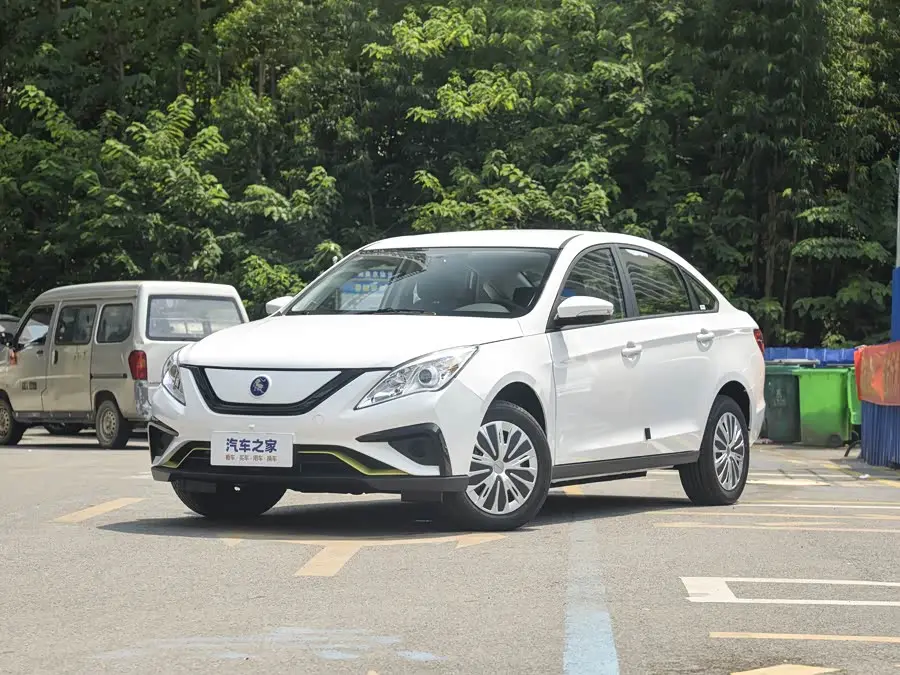 Dongfeng Forthing S50 EV 2024, фото из объявления