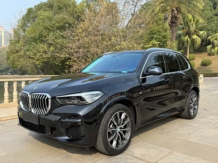 BMW X5 2021, арт. CN-2005282 — фото 1