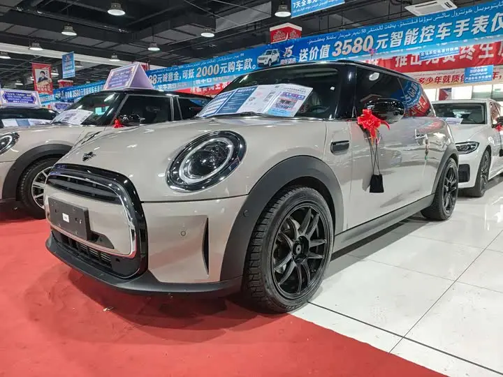 Mini Mini 2022, арт. CN-2024718 — фото 1