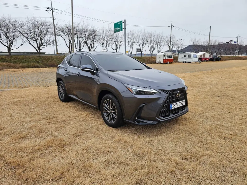 Lexus NX 2022, арт. KR-2032068 — фото 1
