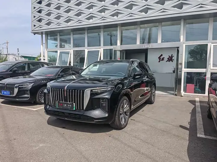 Hongqi E-HS9 2022, арт. CN-2105921 — фото 1