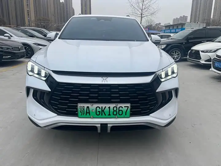 BYD Song Pro Hybrid 2023, арт. CN-2428421 — фото 1