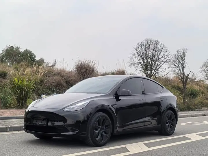 Tesla Model Y 2023, арт. CN-2477971 — фото 1