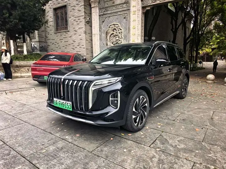 Hongqi HS7 Hybrid 2024, арт. CN-2490447 — фото 1