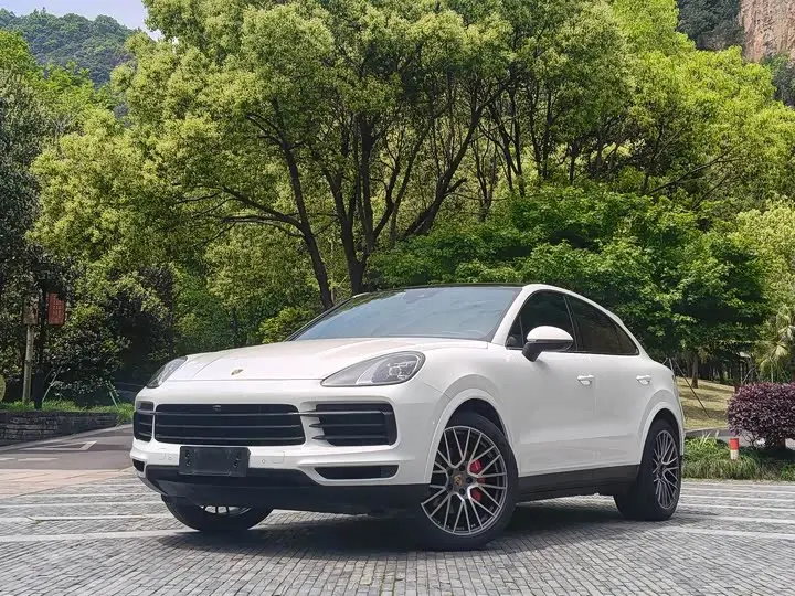 Porsche Cayenne 2022, арт. CN-2676225 — фото 1